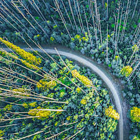 Strategies for Thriving Amid Turbulence and Transformation