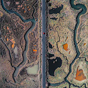 Market Insights Report - H2 2025