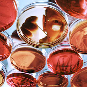 2025 Life Sciences Outlook: Building Preparedness to Mitigate Risks and Capture Human Capital Opportunities