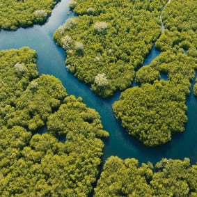 How Insurers are Integrating Climate Change into their Investment Decisions
