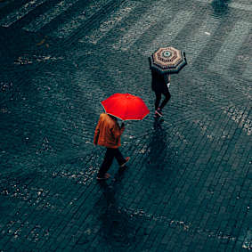 1H 2025 Global Cat Recap