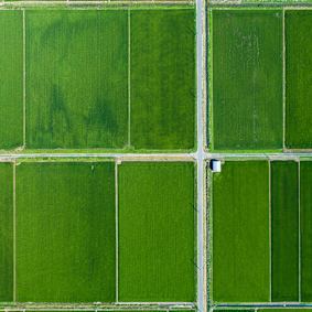Managing Risk and Unlocking Opportunity in the Food, Agribusiness and Beverage Industry
