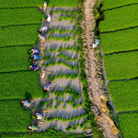 Mitigating Volatility and Maximising Profits: A Guide to Risk Capital in the Food, Agribusiness and Beverage Industry