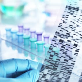2024 Global Medical Trend Rates Report