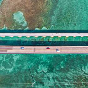 Relevance Through the Market Cycle: 5 Strategic Imperatives for Insurers to Drive Performance