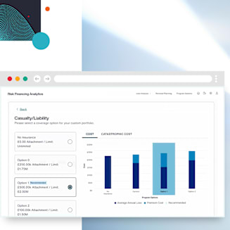 Risk Financing Analytics Image 1
