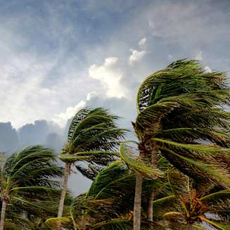 Navigating Risk in Insurance: Turning Complexity into Competitive Advantage