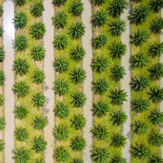 Health, Equity and Affordability Tool