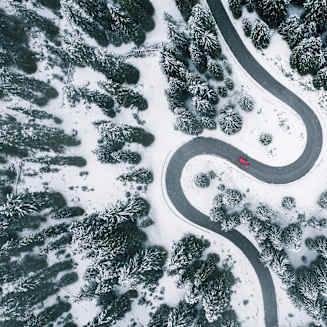 Reinsurance Market  Dynamics