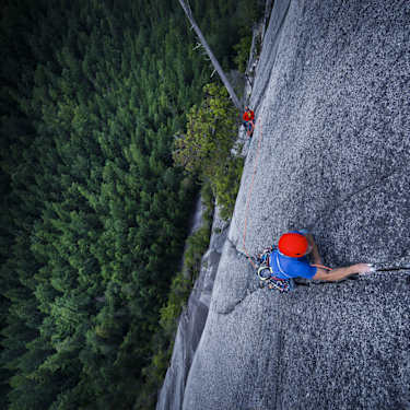 Nat Cat Revealed 2026