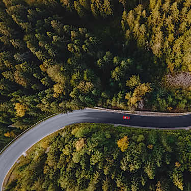Better Decisions on Driving Profitable Growth for Insurers
