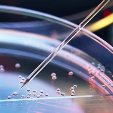 Risk Financing in the Life Sciences Industry