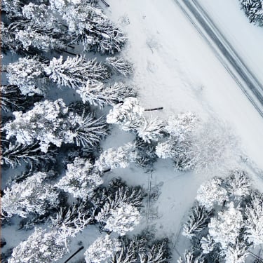 Aon in Estonia