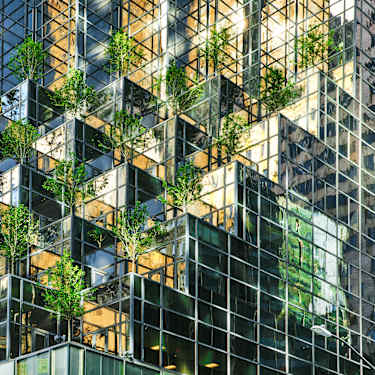 2025 Global Pension Risk Survey – U.S. Findings