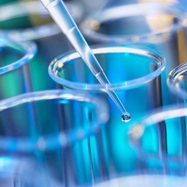 Better Decisions on Risk Capital and Human Capital for Life Sciences