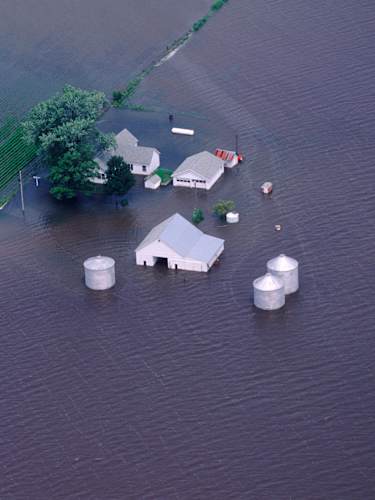 Risk Environment Flood