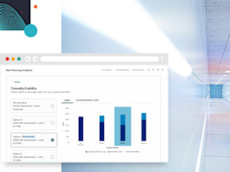 Risk Financing Analytics Image 1