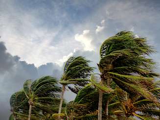 Navigating Risk in Insurance: Turning Complexity into Competitive Advantage