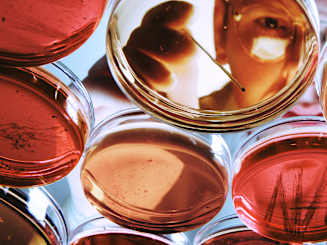 Navigating Risk in Life Sciences: Building Resilience to Support Growth