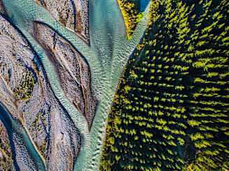 Methodology and Respondent Demographics