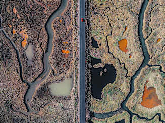 Credit Solutions Market Insights