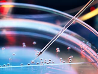 Key Findings of the H1 2025 Credit Solutions Market Insights Report for the Food, Agribusiness and Beverage Industry