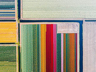 Shaping Better Outcomes: Aon Investments’ Global Responsible Investment Policy Framework