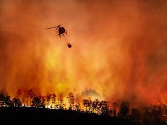 Wildfires Expose Lack of Disaster Response Plans for Employees