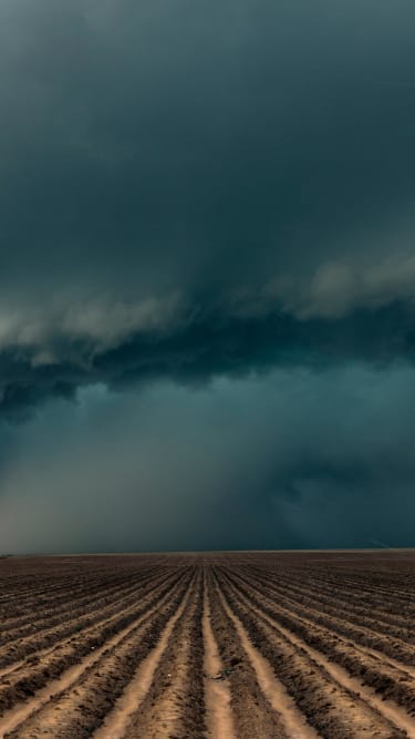 Rising Losses From Severe Convection Storms Mostly Explained by Exposure Growth