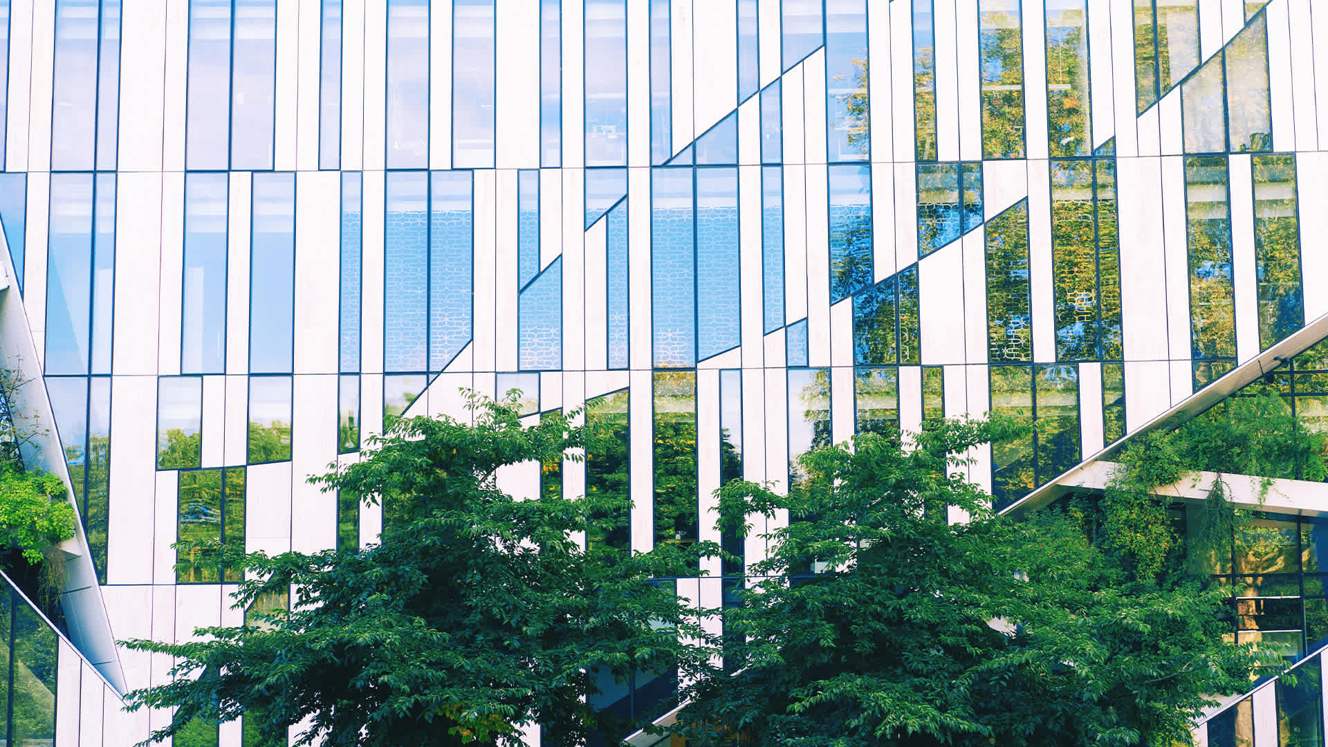 Supporting Energy Resilience and Transition to Low-Carbon Economy