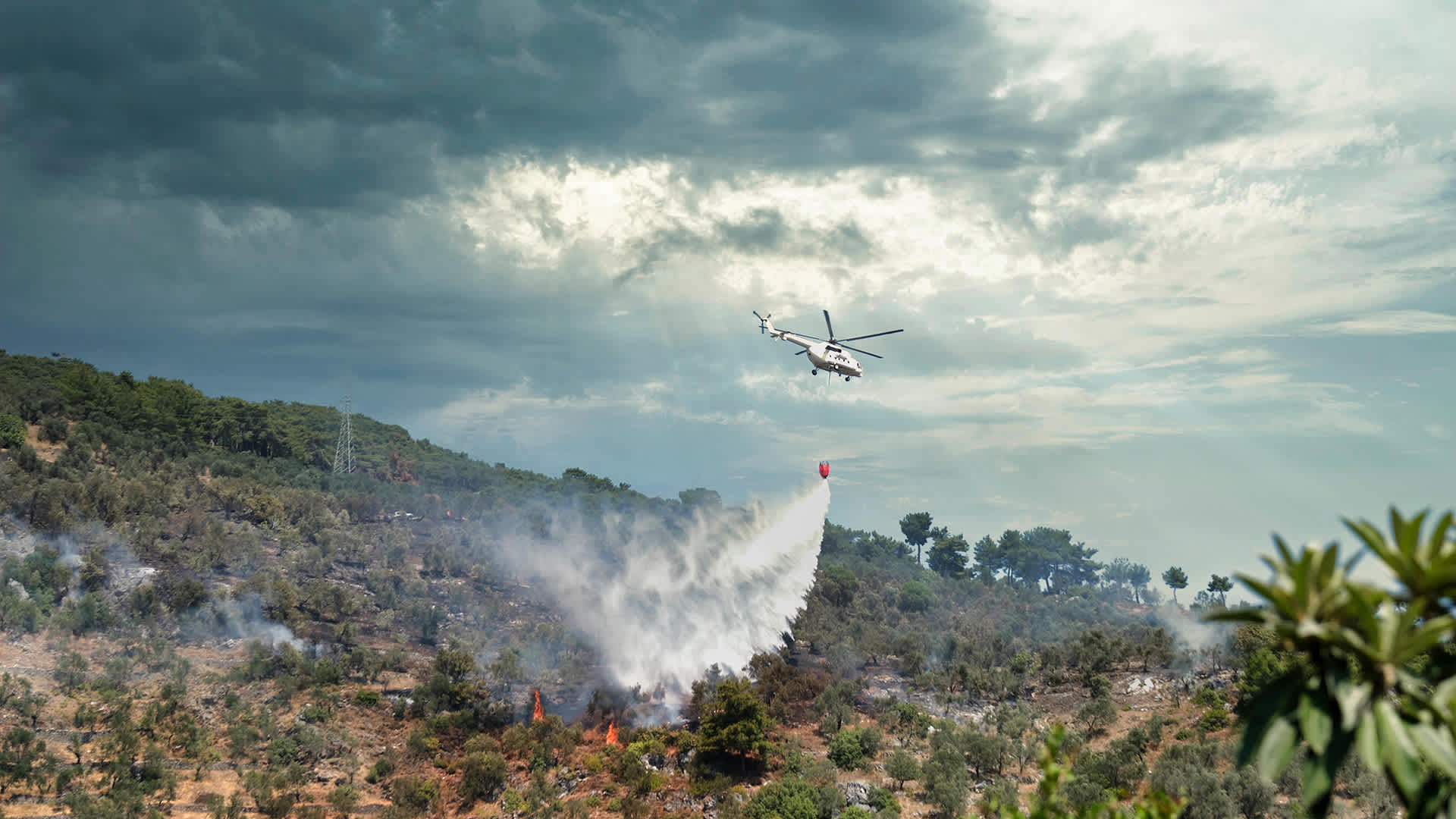 Redefining Resilience