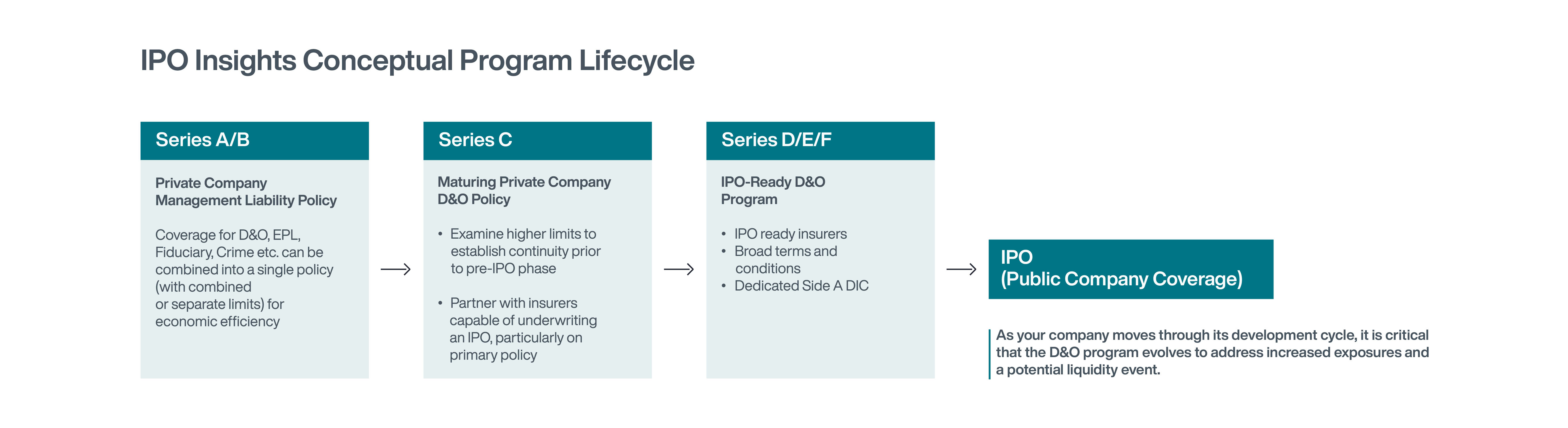 D&O Risks and Considerations for Businesses Planning an IPO Diagram