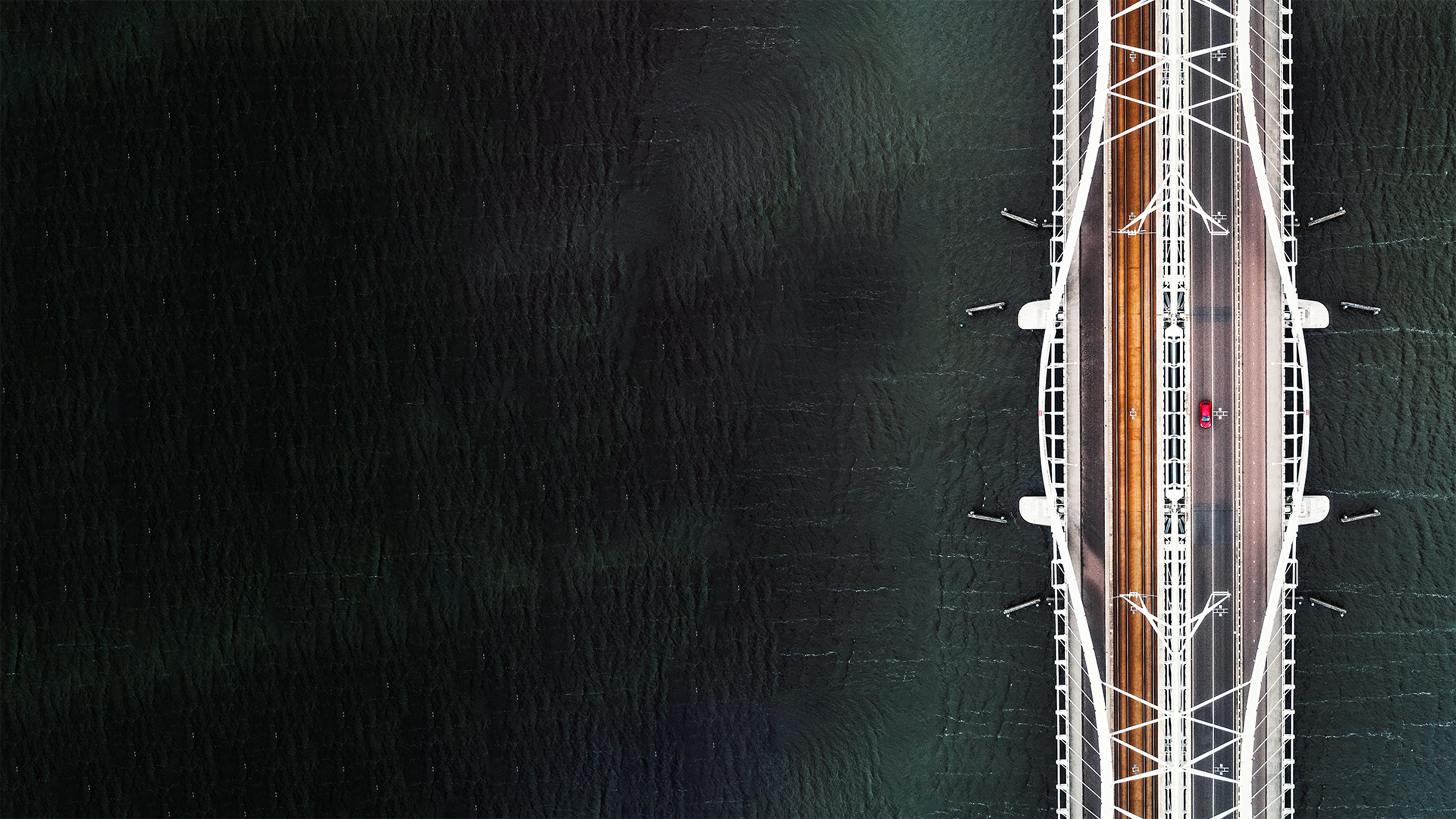 Strategy and Technology Group