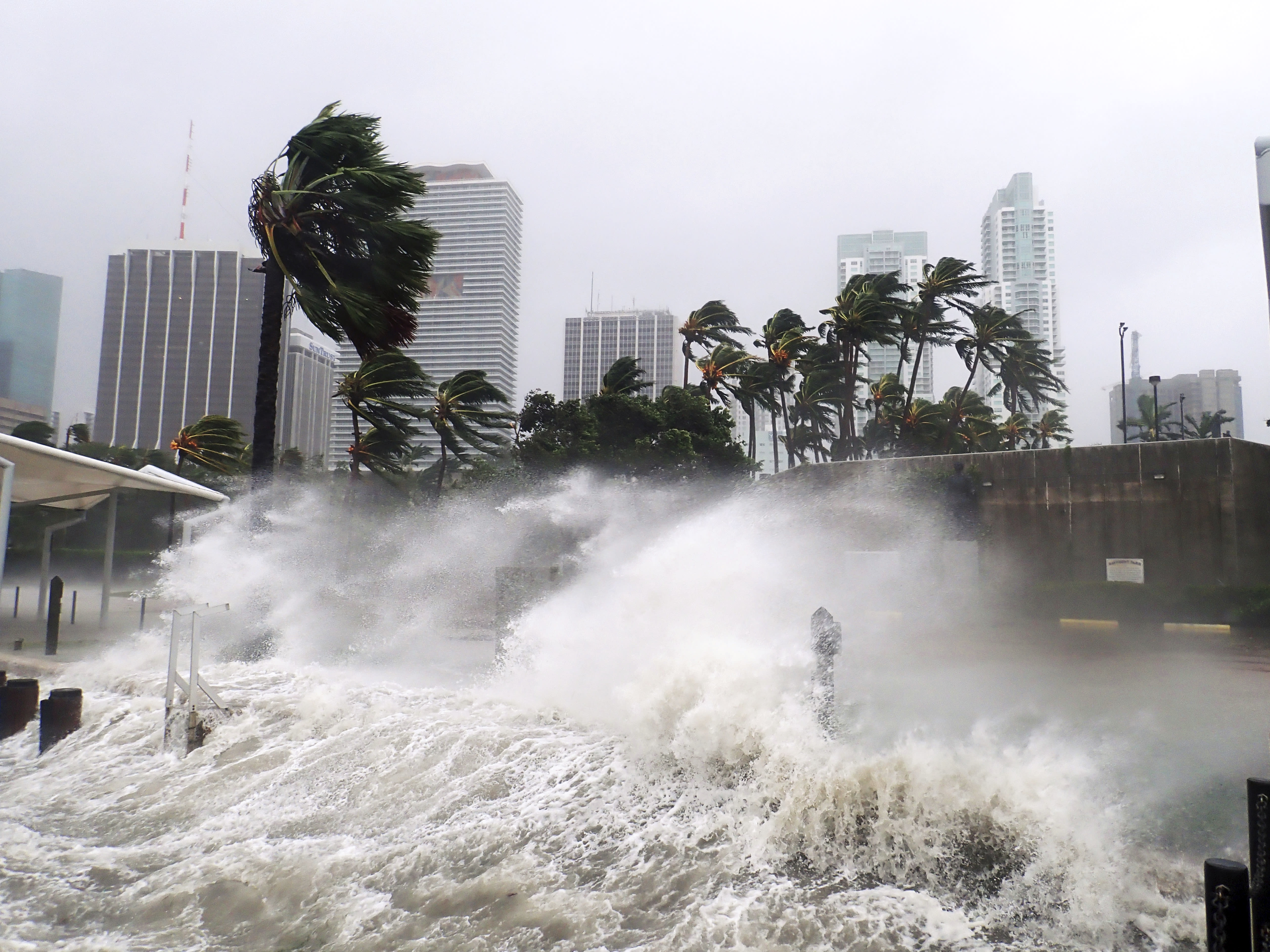 Webinar: Hurricane Season 2025