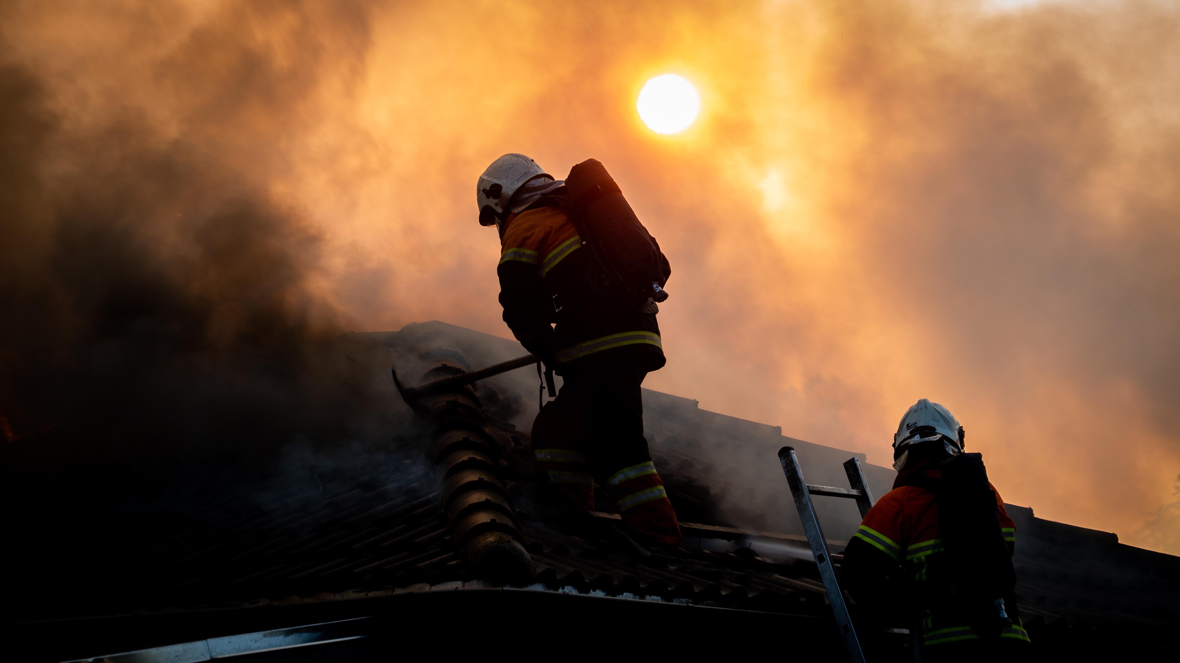 L.A. Wildfires Highlight Urgent Need for Employee Support and Business ... image.