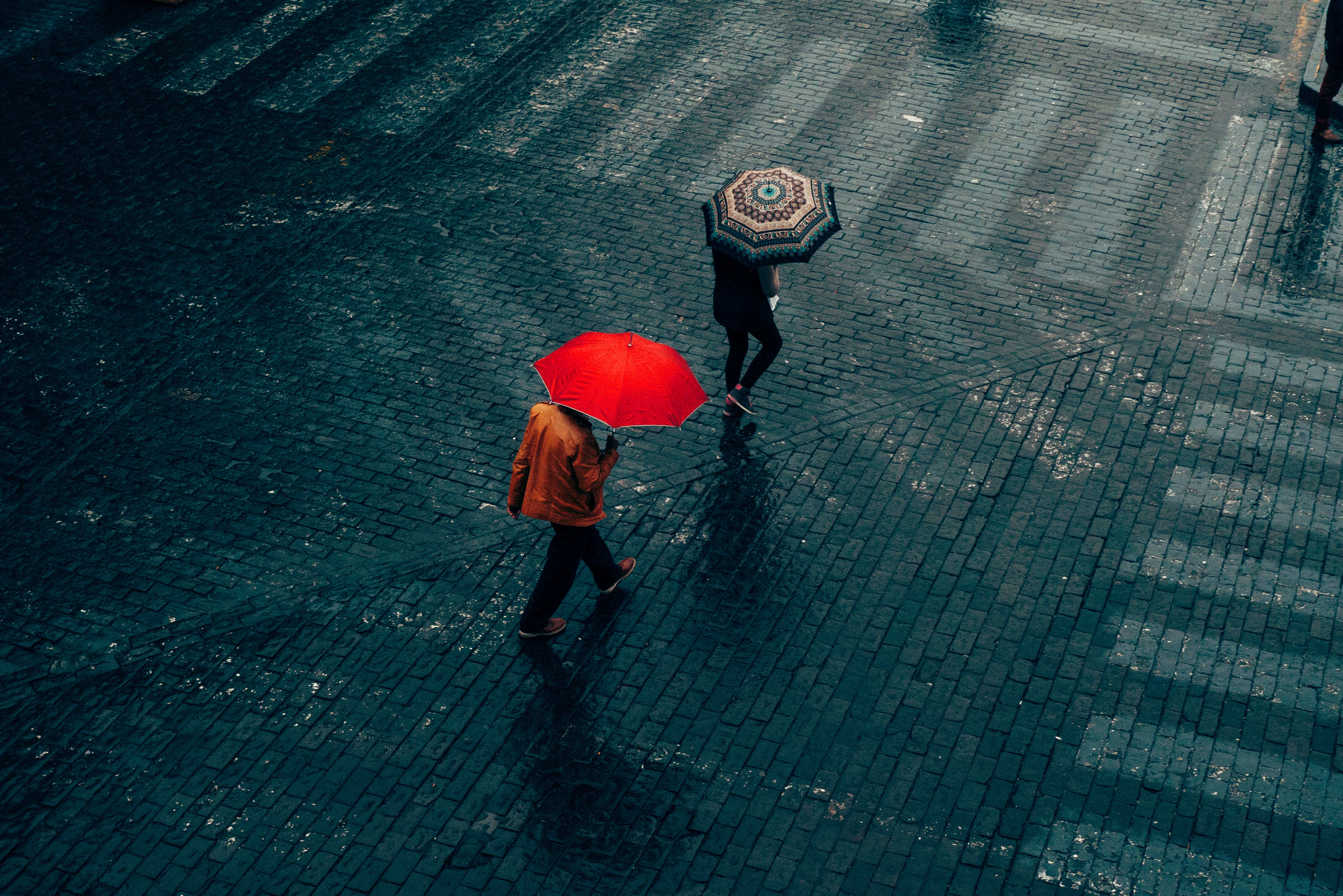 Gallery image with a fresh perspective