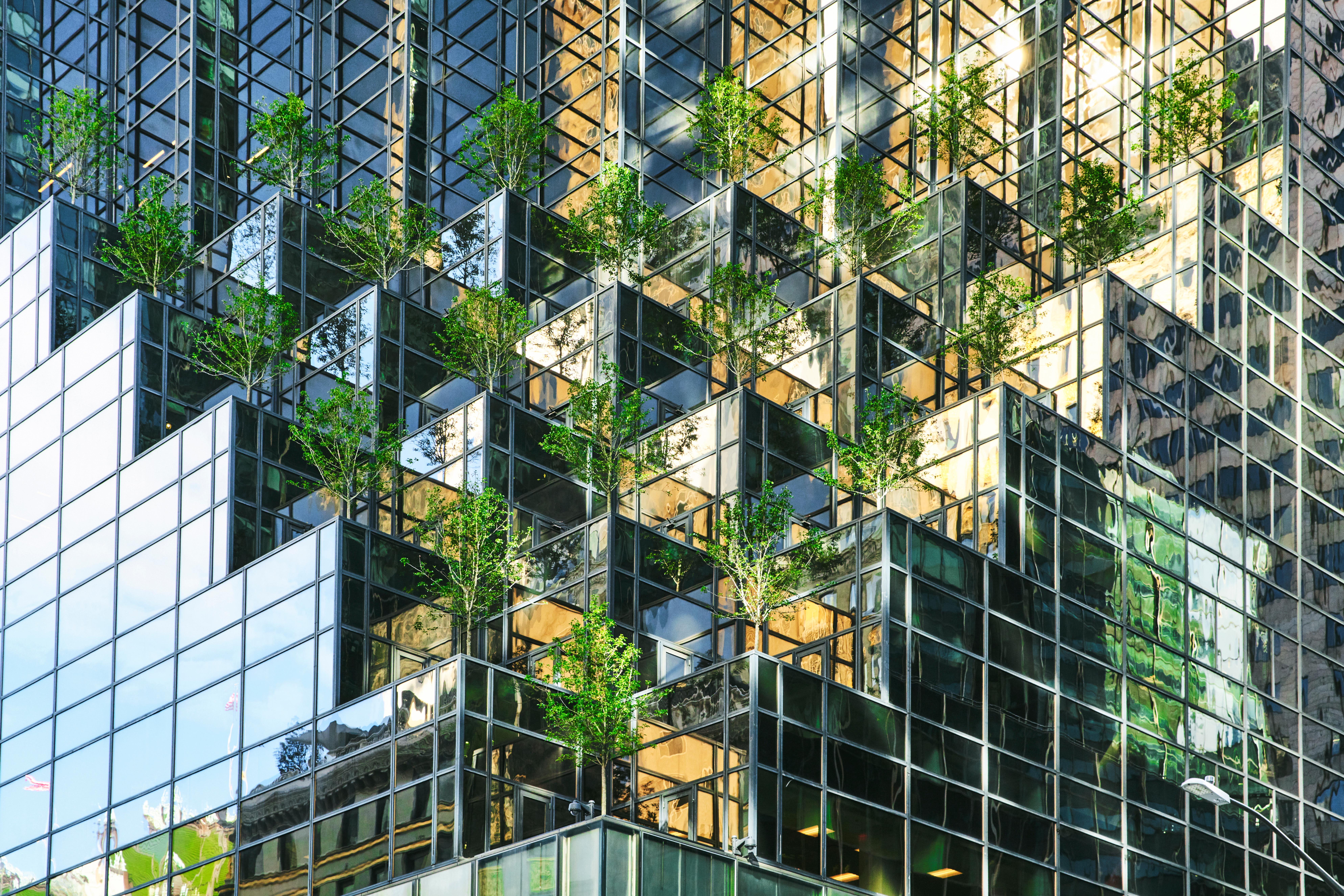 Futureproofing Your Portfolio Webinar