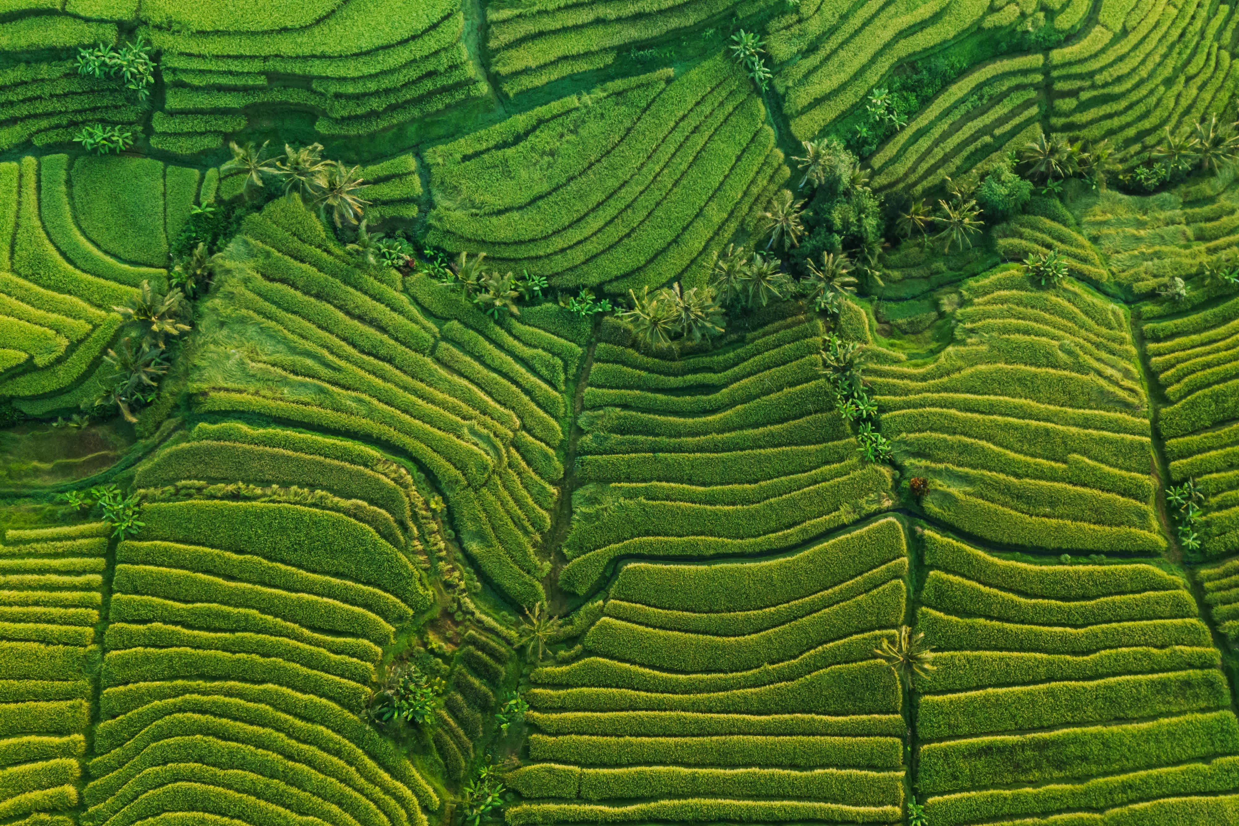 Hable con nuestro equipo