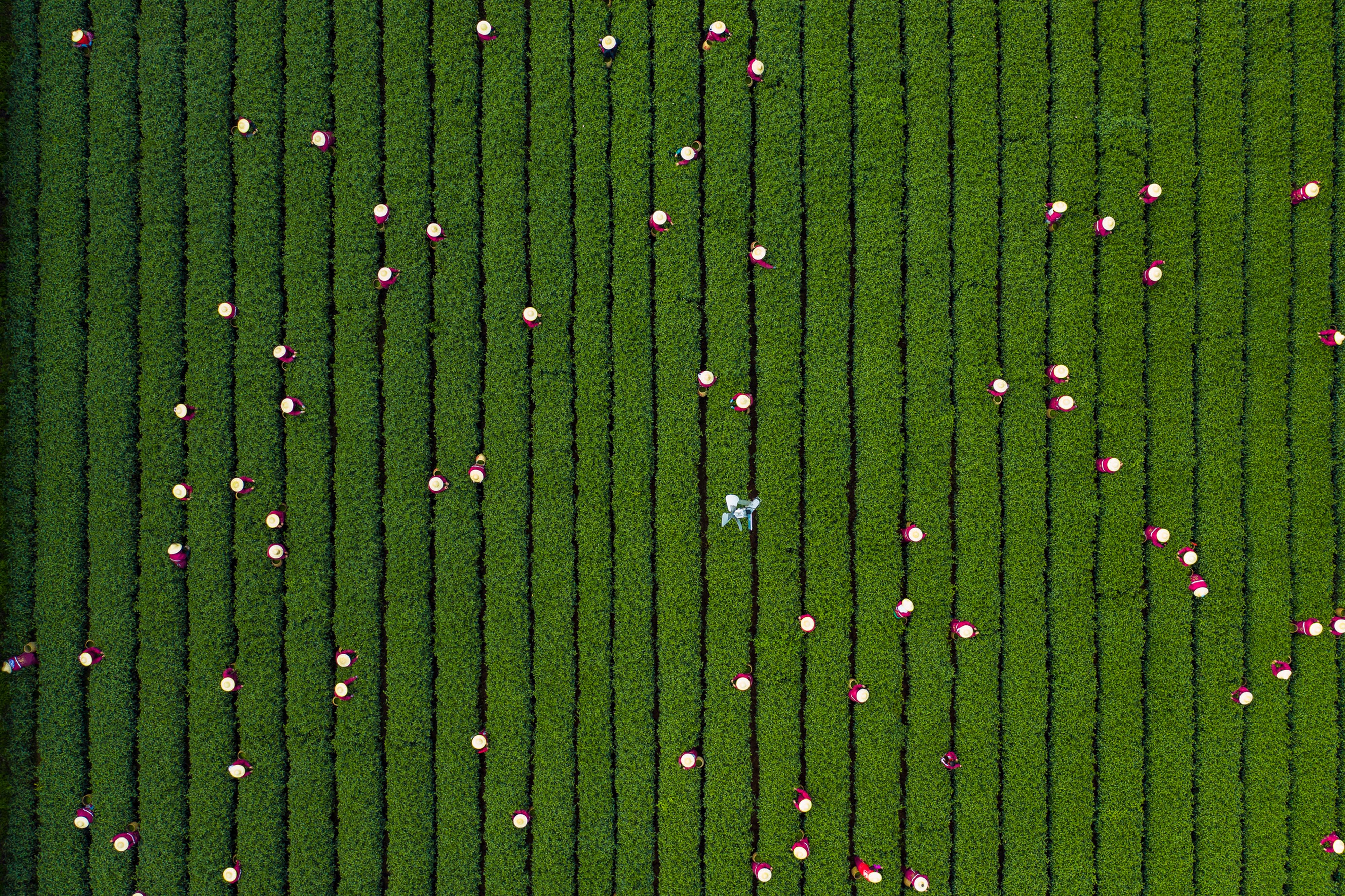 Habla con nuestro equipo