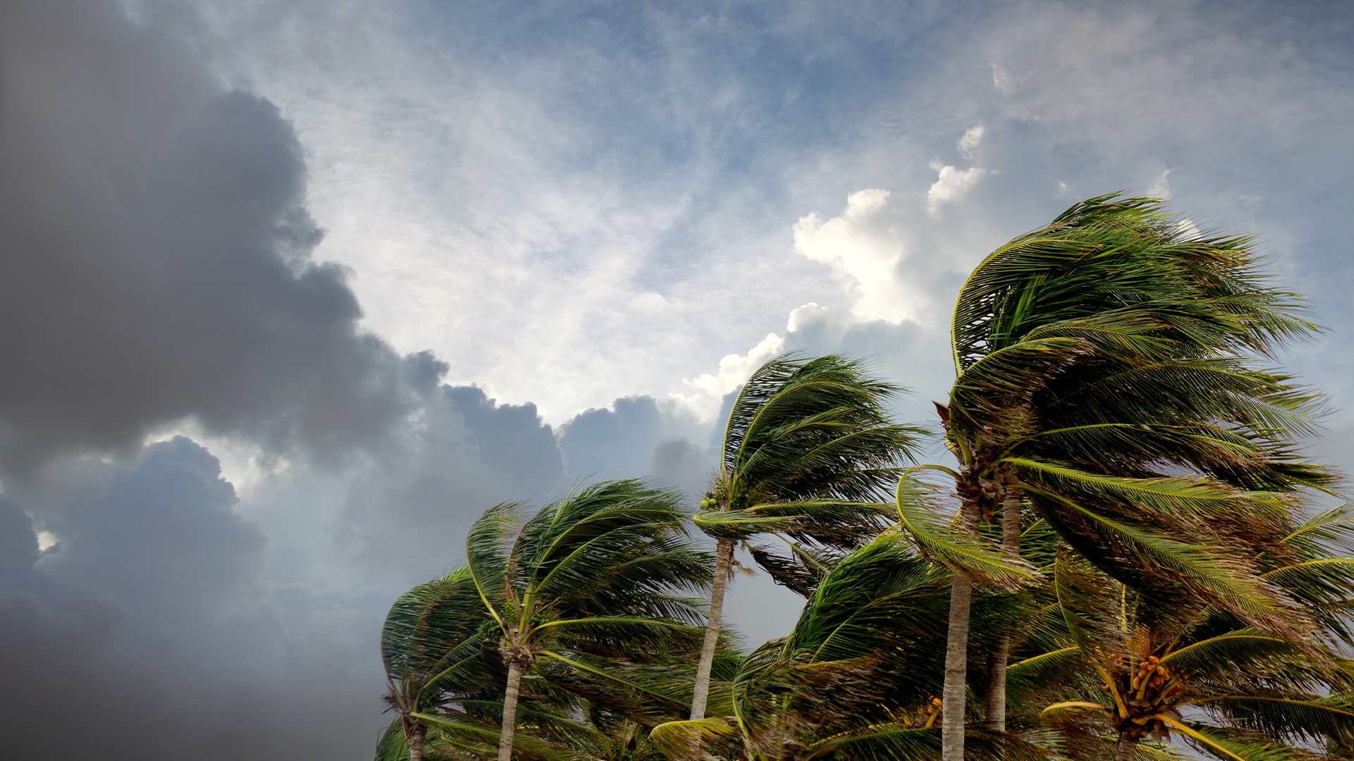Navigating Risk in Insurance: Turning Complexity into Competitive Advantage 