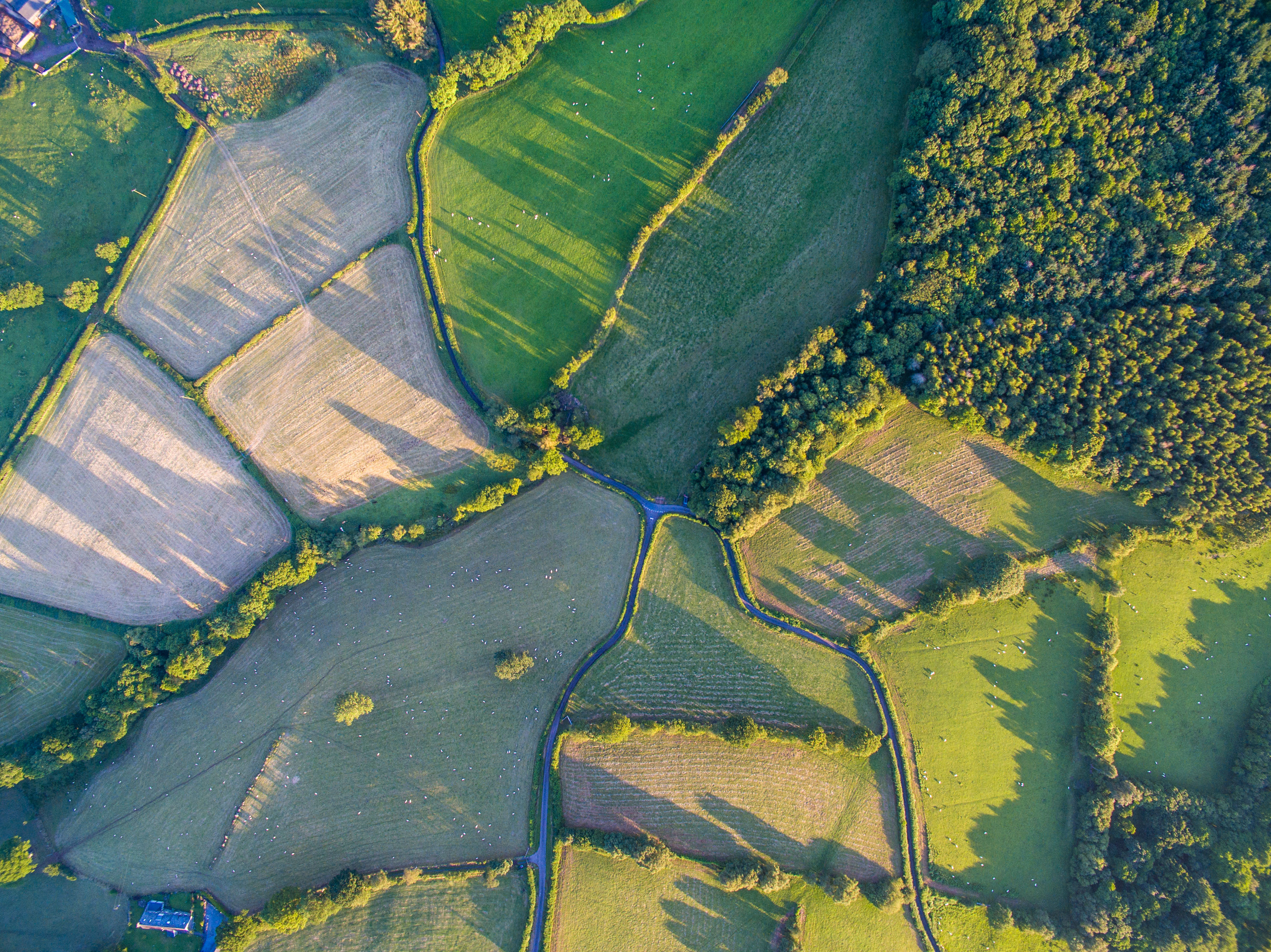 Aon in United Kingdom